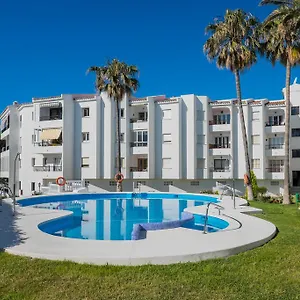 Palmeras Spain